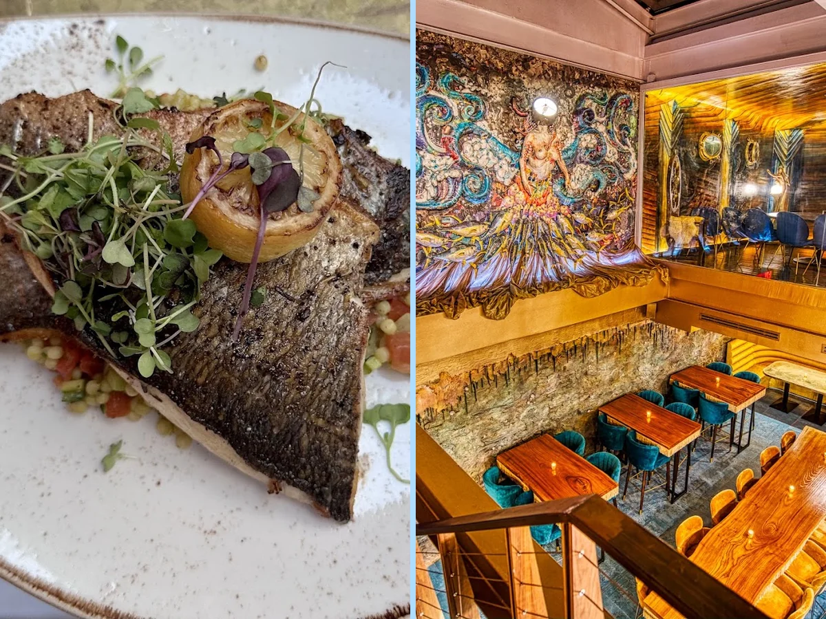 Fish Forward in New York